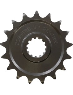 Ritzel