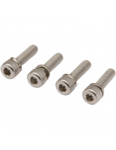 MOOSE RACING SCHWIMMERKAMMER SCHRAUBENSATZ M4 X 12MM