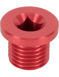 Magnetischer Ablassschraube