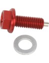 Magnetischer Ablassschraube