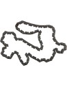Steuerkette