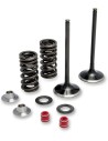 Auspuffventil- und Feder-Kit