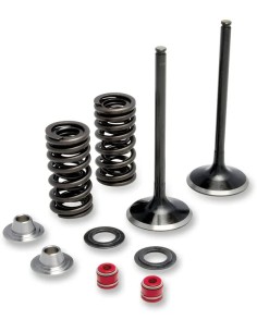 Auspuffventil- und Feder-Kit