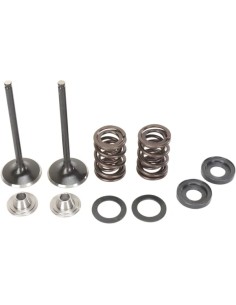 Auspuffventil- und Feder-Kit