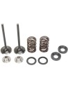 Auspuffventil- und Feder-Kit