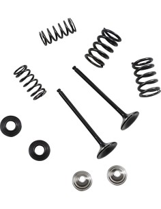 Auspuffventil- und Feder-Kit