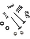 Auspuffventil- und Feder-Kit
