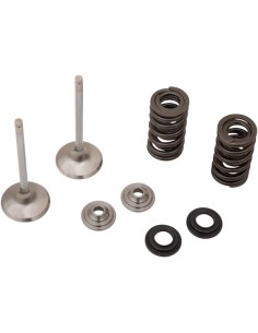 Auspuffventil- und Feder-Kit