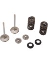 Auspuffventil- und Feder-Kit
