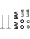 Auspuffventil- und Feder-Kit