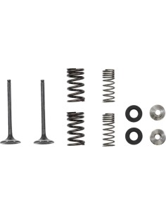 Auspuffventil- und Feder-Kit