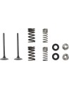 Auspuffventil- und Feder-Kit