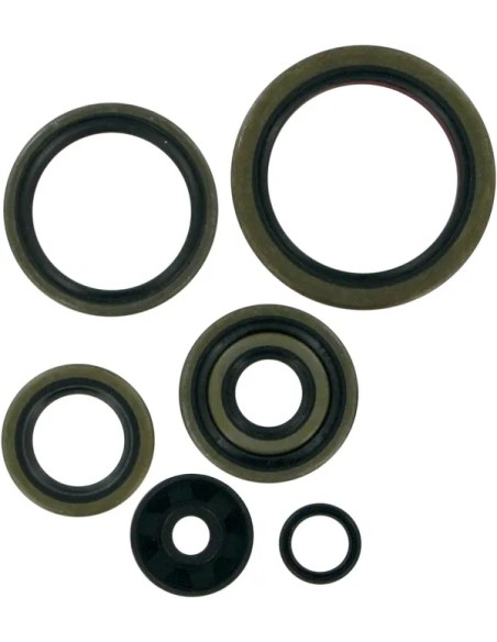 MOOSE OFFROAD HARD-PARTS Dichtungen & Öldichtungen für KTM EXC 250 1994-2003