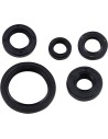 Wellendichtring-Kit