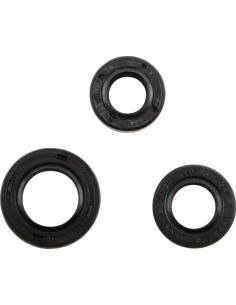 Wellendichtring-Kit