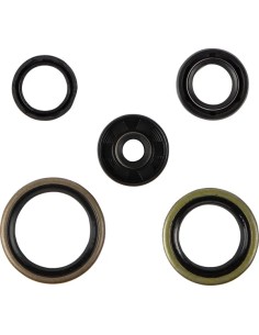 Dichtungs- und O-Ring-Kit