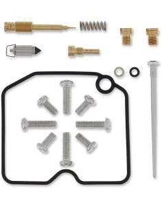 Vergaser-Reparatursatz - Arctic Cat