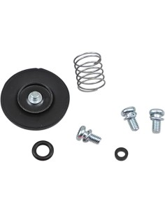 Beschleunigerpumpen-Überholsatz