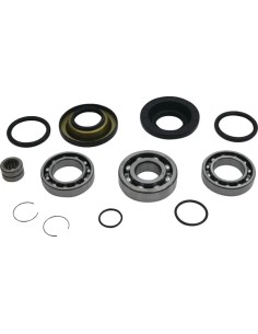 Differential-Lager-/Dichtungssatz
