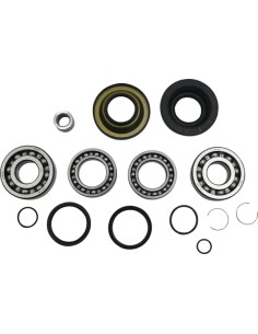 Differential-Lager-/Dichtungssatz