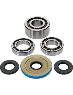 Differential-Lager-/Dichtungssatz