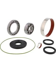 Differential-Lager-/Dichtungssatz