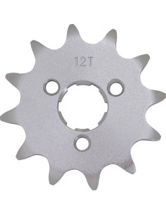 Vorderes Ritzel
