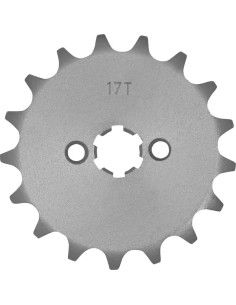 Vorderes Ritzel