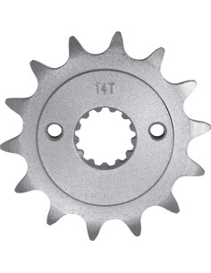 Vorderes Ritzel