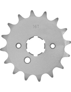 Vorderes Ritzel