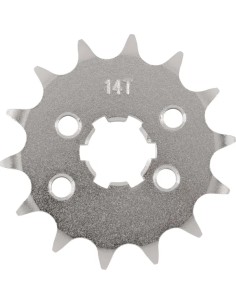 Vorderes Ritzel