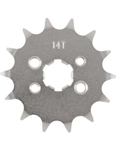 Vorderes Ritzel