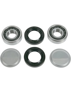 Schwingenlager-Kit