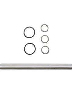 Schwingenlager-Kit