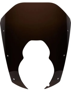 Adventure Windschild