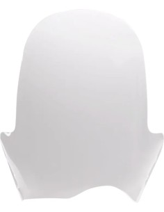 Adventure Windschild