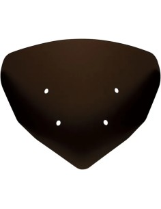 Adventure Windschild