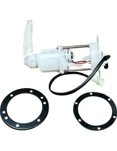 Kraftstoffpumpenmodul