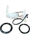Kraftstoffpumpenmodul