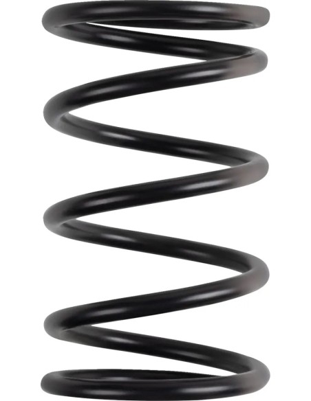 MOOSE OFFROAD FOUR WHEEL Kupplungen & Kupplungskomponenten - PRIMARY CLUTCH SPRING (BLACK/R