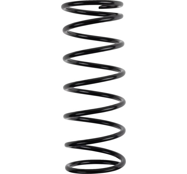 MOOSE OFFROAD FOUR WHEEL Kupplungen & Kupplungskomponenten - PRIMARY CLUTCH SPRING (BLACK)