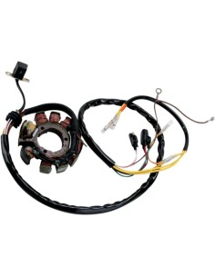 Stator