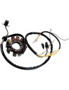 Stator