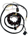 Stator