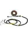 Stator für Polaris