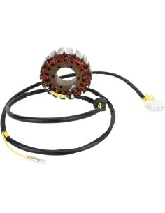 Stator für Polaris