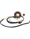 Stator für Polaris