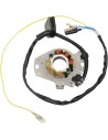 High-Output Lichtmaschine