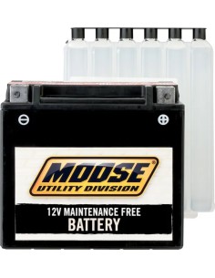 AGM wartungsfreie Batterien