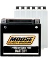 AGM wartungsfreie Batterien